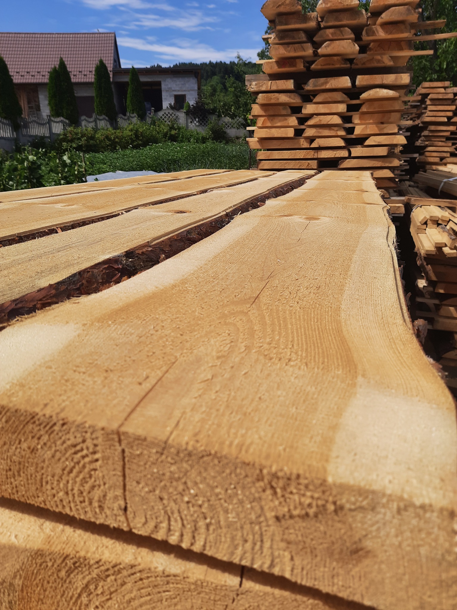 Stosy świeżo przetartego drewna ułożone na zewnątrz, widoczne fragmenty kory na brzegach desek, w tle budynek mieszkalny i drzewa.