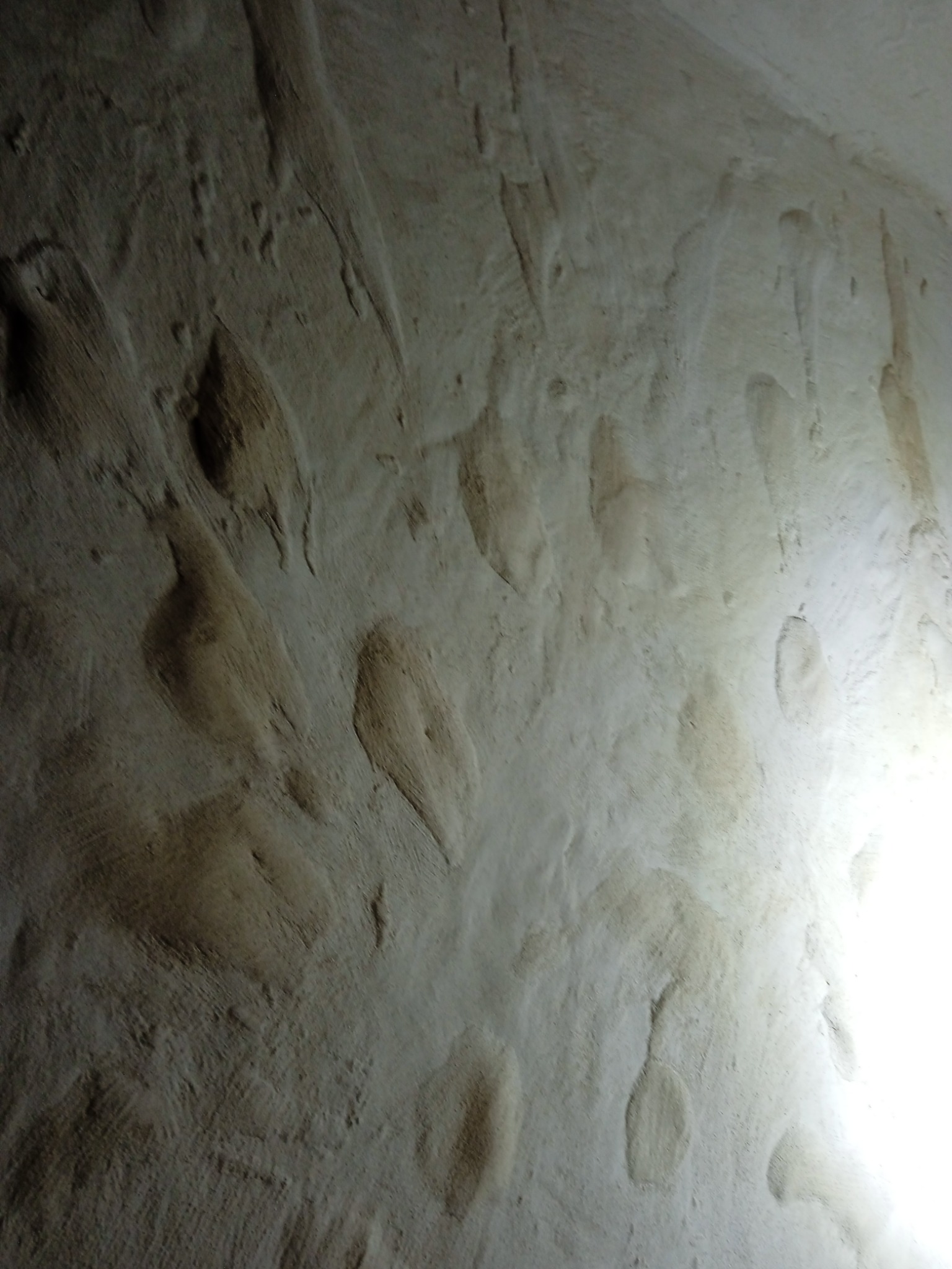 Niedokładnie wykonane tynki maszynowe na ścianie, widoczne zacieki i niedociągnięcia.