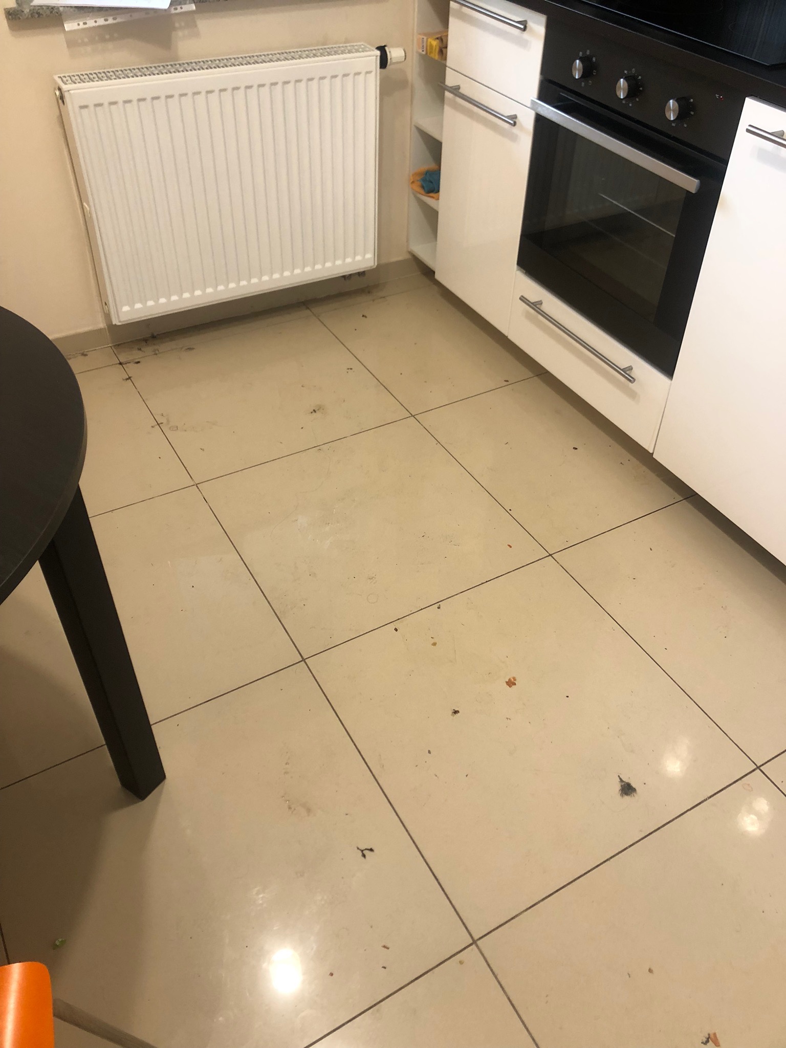 Beżowa podłoga z płytek w kuchni, widoczne okruchy i zabrudzenia przed białymi szafkami kuchennymi i grzejnikiem, fragment czarnego stołu w lewym dolnym rogu.