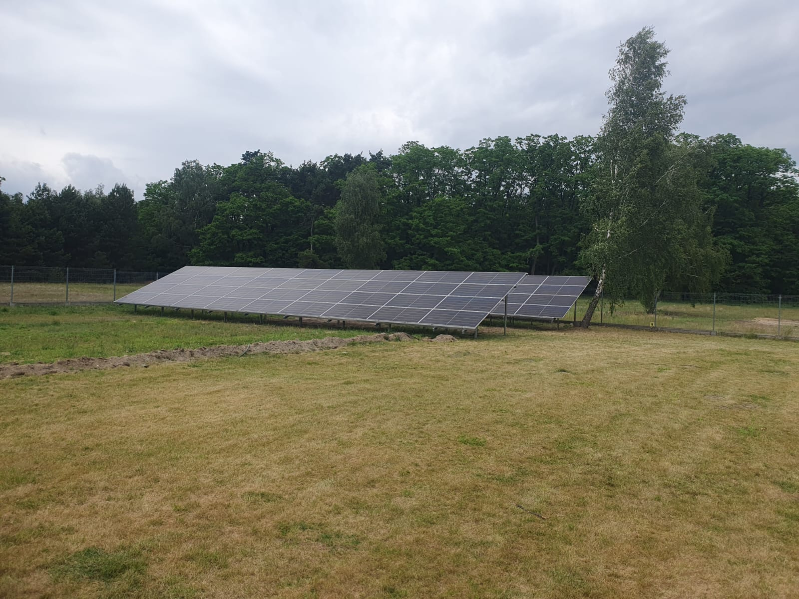 Rząd paneli słonecznych na łące, obok drzew i ogrodzenia, w pochmurny dzień. Panele ustawione horyzontalnie, widoczne mocowania. Trawa wyschnięta, tło zielone.