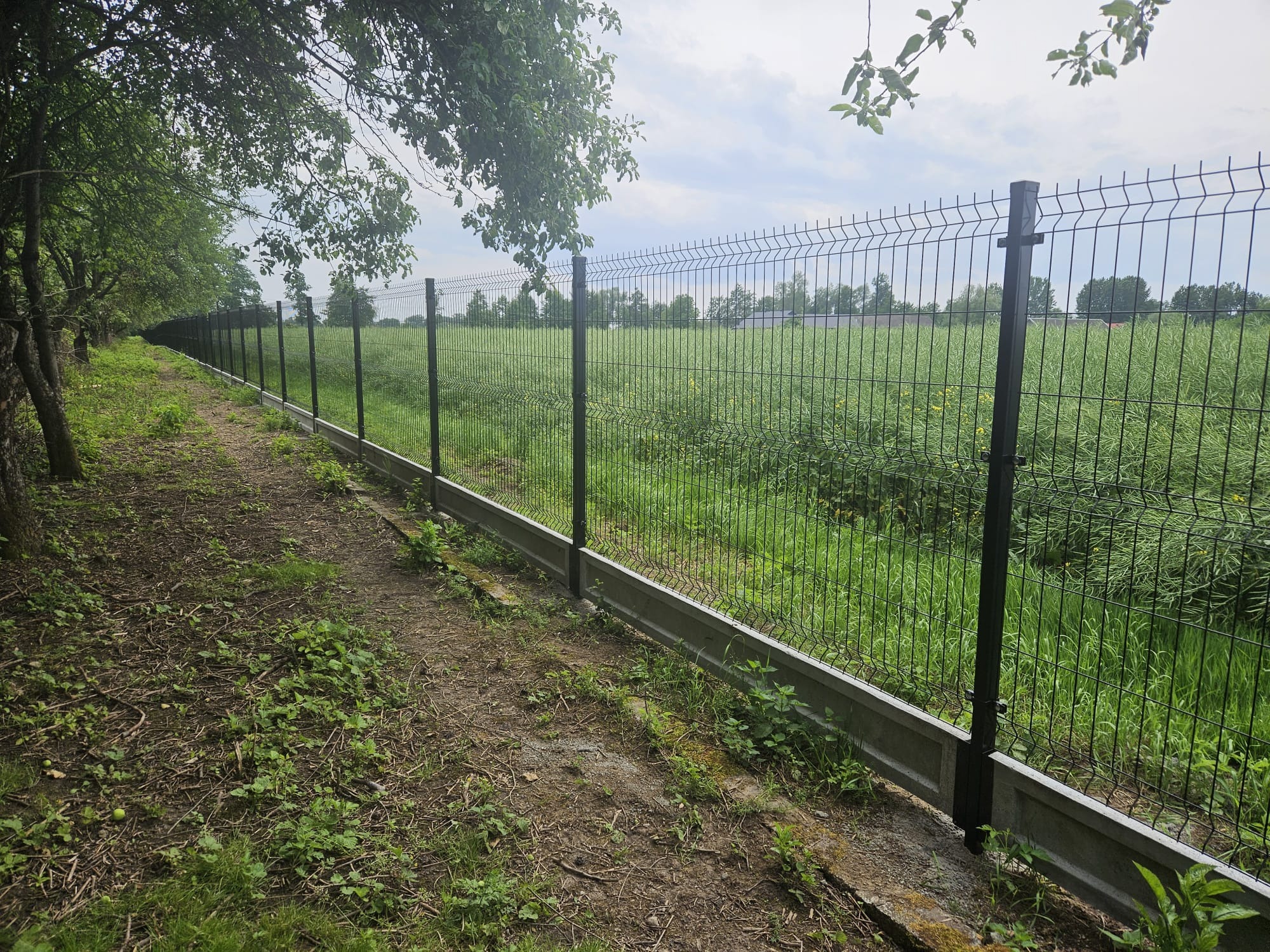 Długie, czarne ogrodzenie panelowe z podmurówką wzdłuż polnej drogi, widok na zarośnięte pole. Perspektywa z dołu, drzewa nad ogrodzeniem.