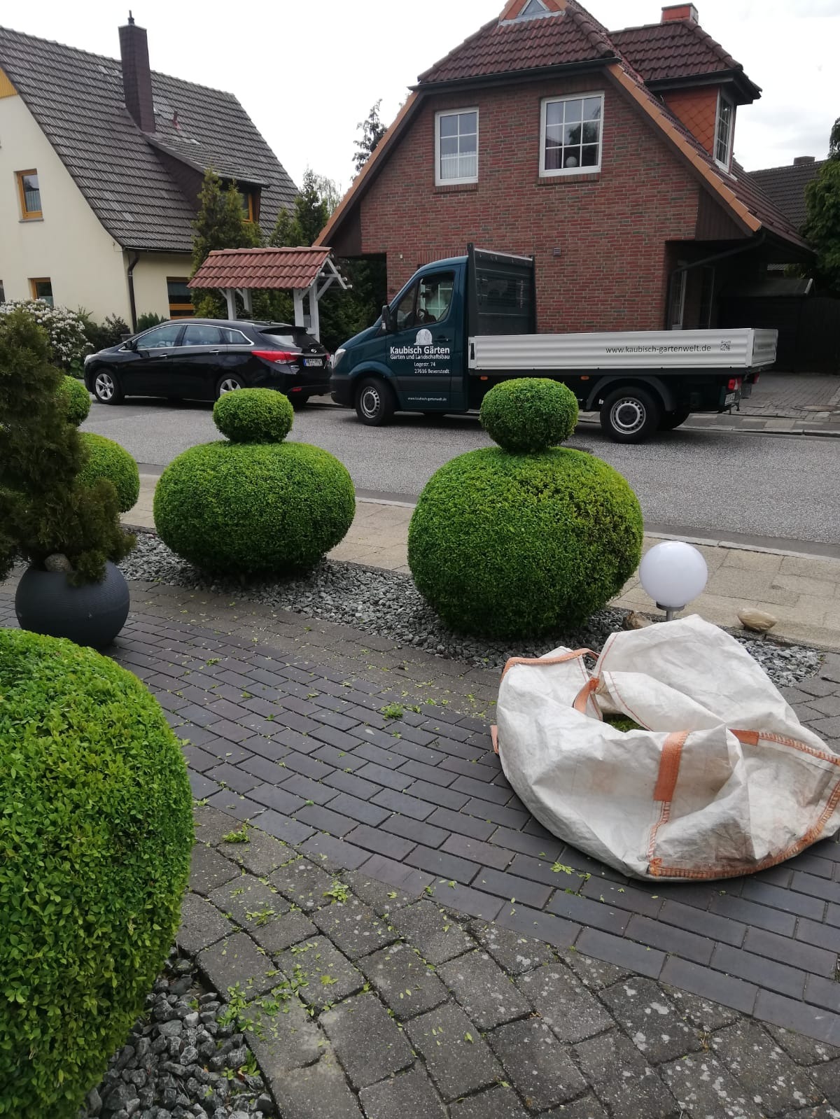 Formowane krzewy bukszpanowe w kształcie kul na posesji, obok zaparkowany samochód i firmowy samochód dostawczy, widoczny worek z obciętymi gałązkami.