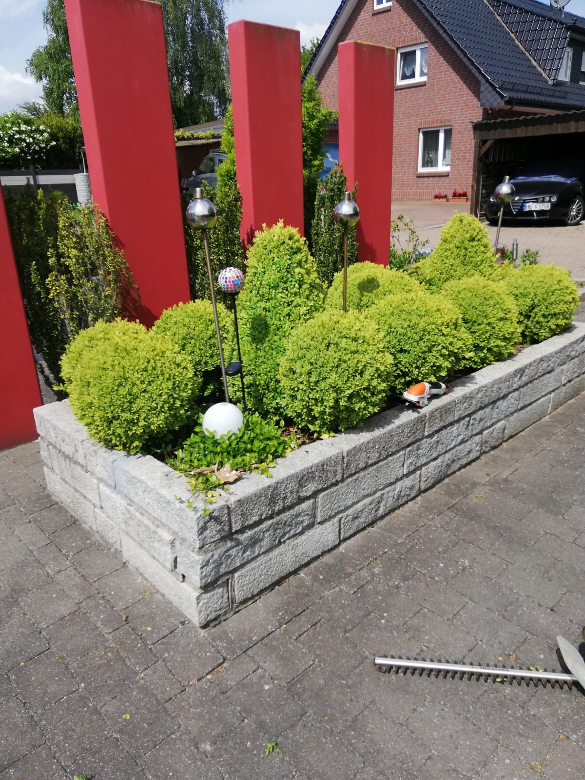 Ogródek z kulistymi krzewami w kamiennej obudowie, ozdobiony metalowymi kulami i kolorową kulą mozaikową, z elektrycznymi nożycami do żywopłotu leżącymi obok na kostce brukowej. W tle czerwone...