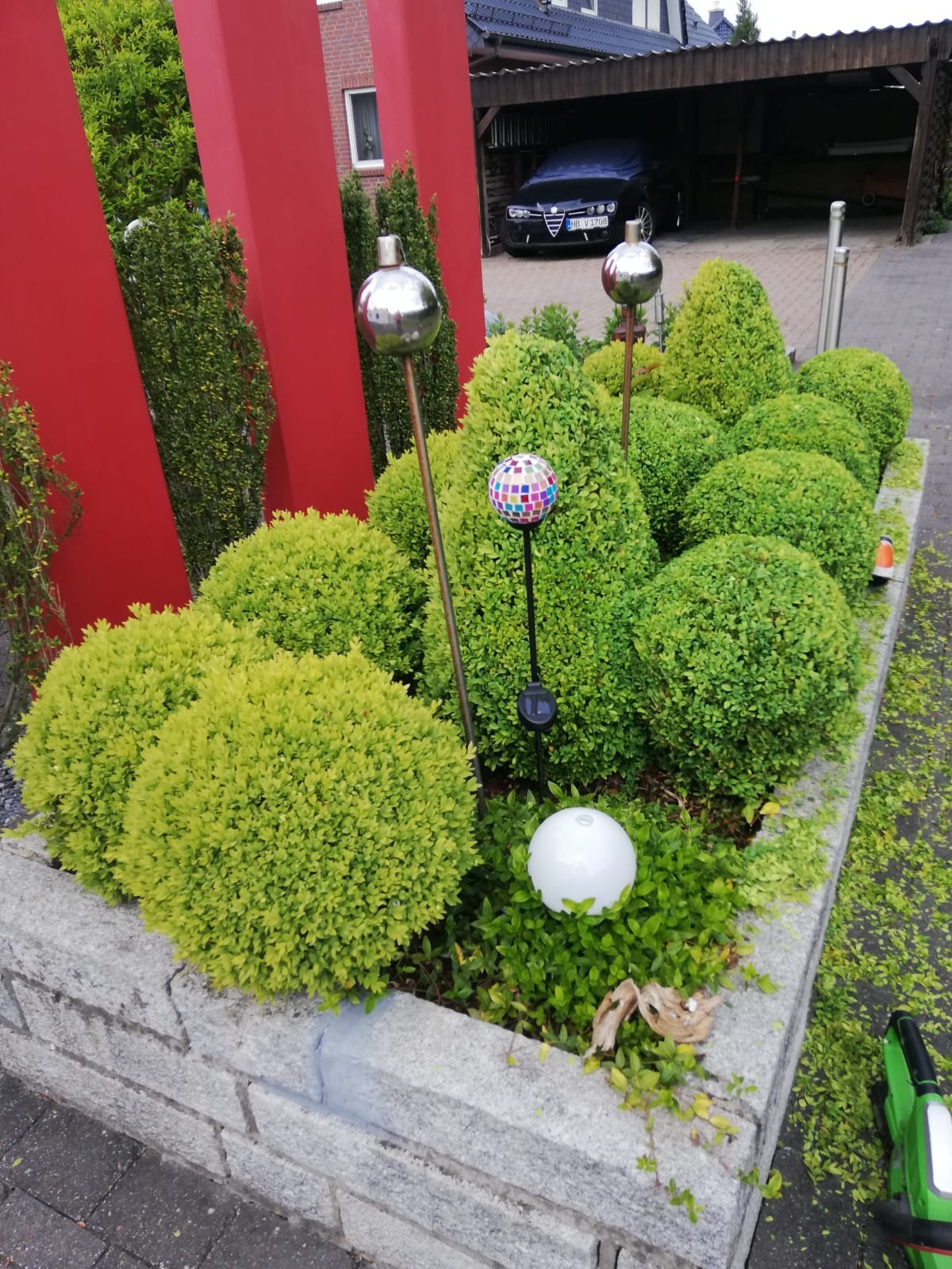 Ogród z formowanymi krzewami bukszpanu w kształcie kul i stożków, dekorowany metalowymi kulami na prętach i kolorową mozaikową kulą solarną, otoczony niskim murem z kamienia, z widocznymi śladami...