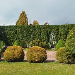 Zakładanie trawników Sokółka