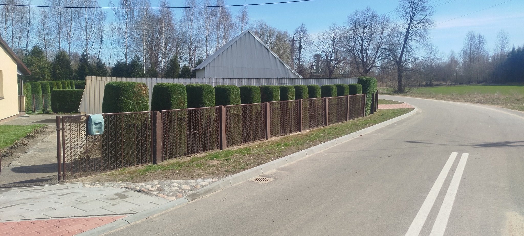 Równy szpaler przyciętych tuj wzdłuż brązowego ogrodzenia z siatki, widok z ulicy. Zadbany ogród z domem w tle, słoneczny dzień.