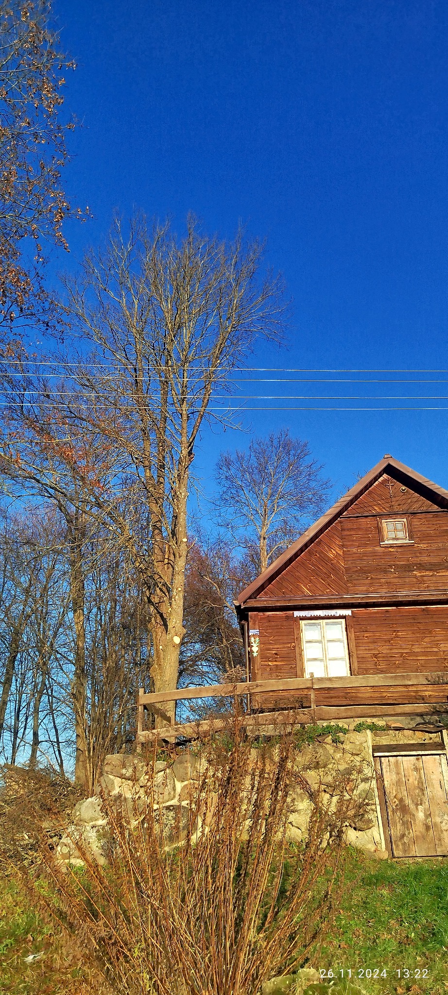 Drewniany dom z widocznymi śladami po przyciętych gałęziach drzew, sugerujący prace ogrodnicze. Błękitne niebo w tle, jesienna sceneria.