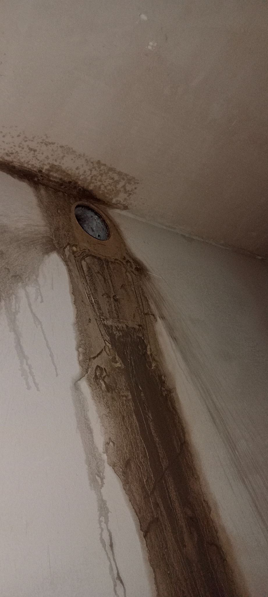 Zacieki i pleśń wokół otworu wentylacyjnego w rogu sufitu i ściany, widoczne ślady wilgoci.