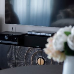 PoKa Design - Czarna szafka RTV z dekoracyjnym frontem, na której stoi sprzęt audio. W tle telewizor i bukiet kwiatów. Ujęcie z bliska, podkreślające detale wykończenia.