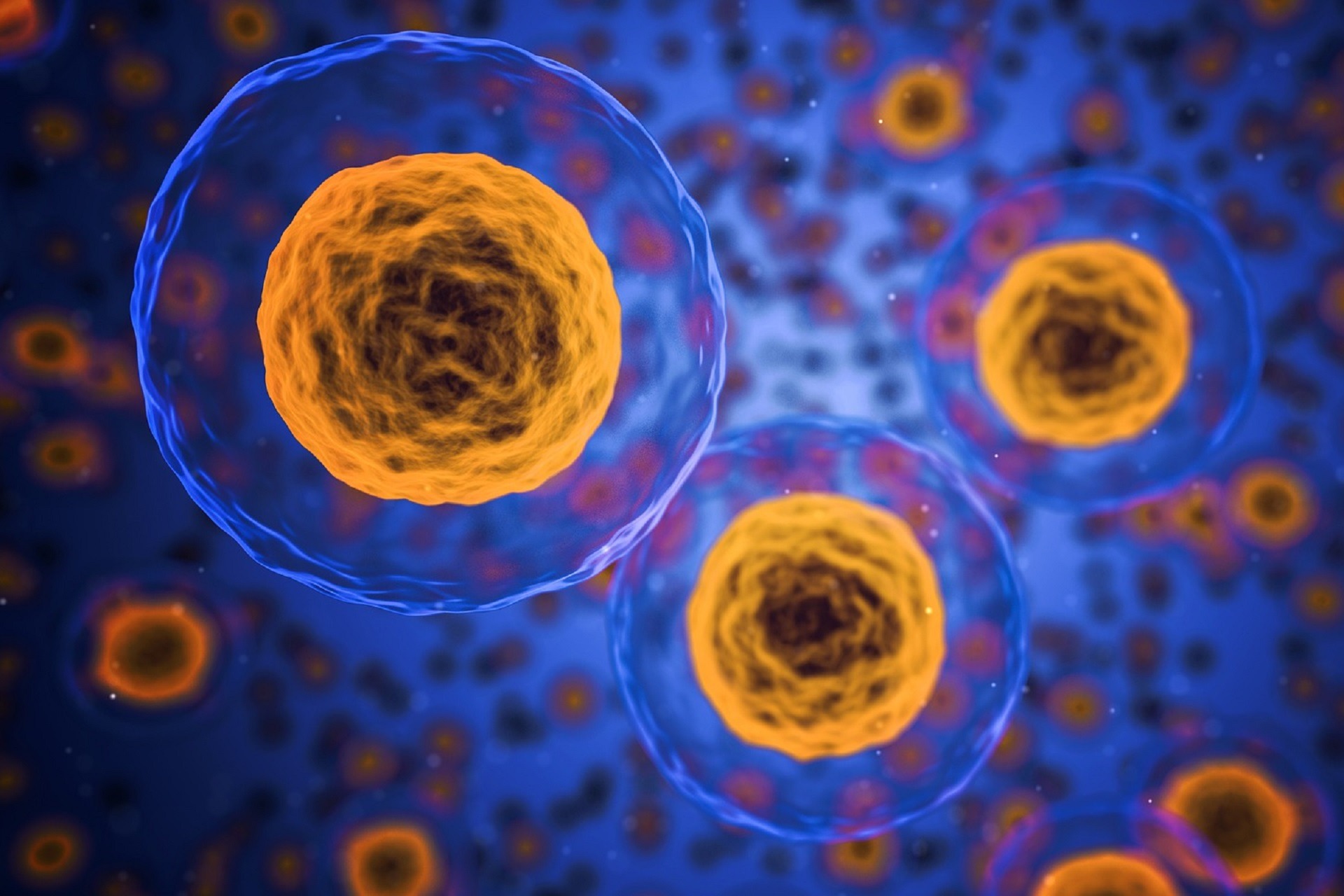 Wdrażanie Ai Sztuczna Inteligencja Usługi Programistyczne Informatyk w medycynie.