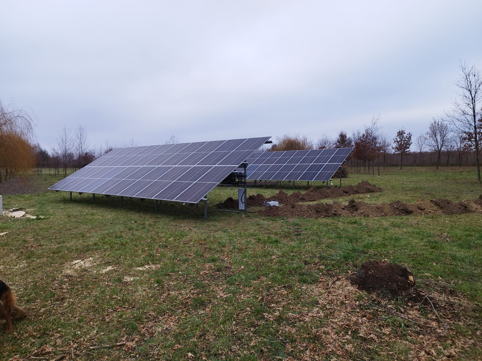 Dwa rzędy paneli fotowoltaicznych na metalowej konstrukcji, świeżo zainstalowane na trawiastym terenie z wykopanymi rowami, widoczne drzewa w tle i fragment psa w lewym dolnym rogu.
