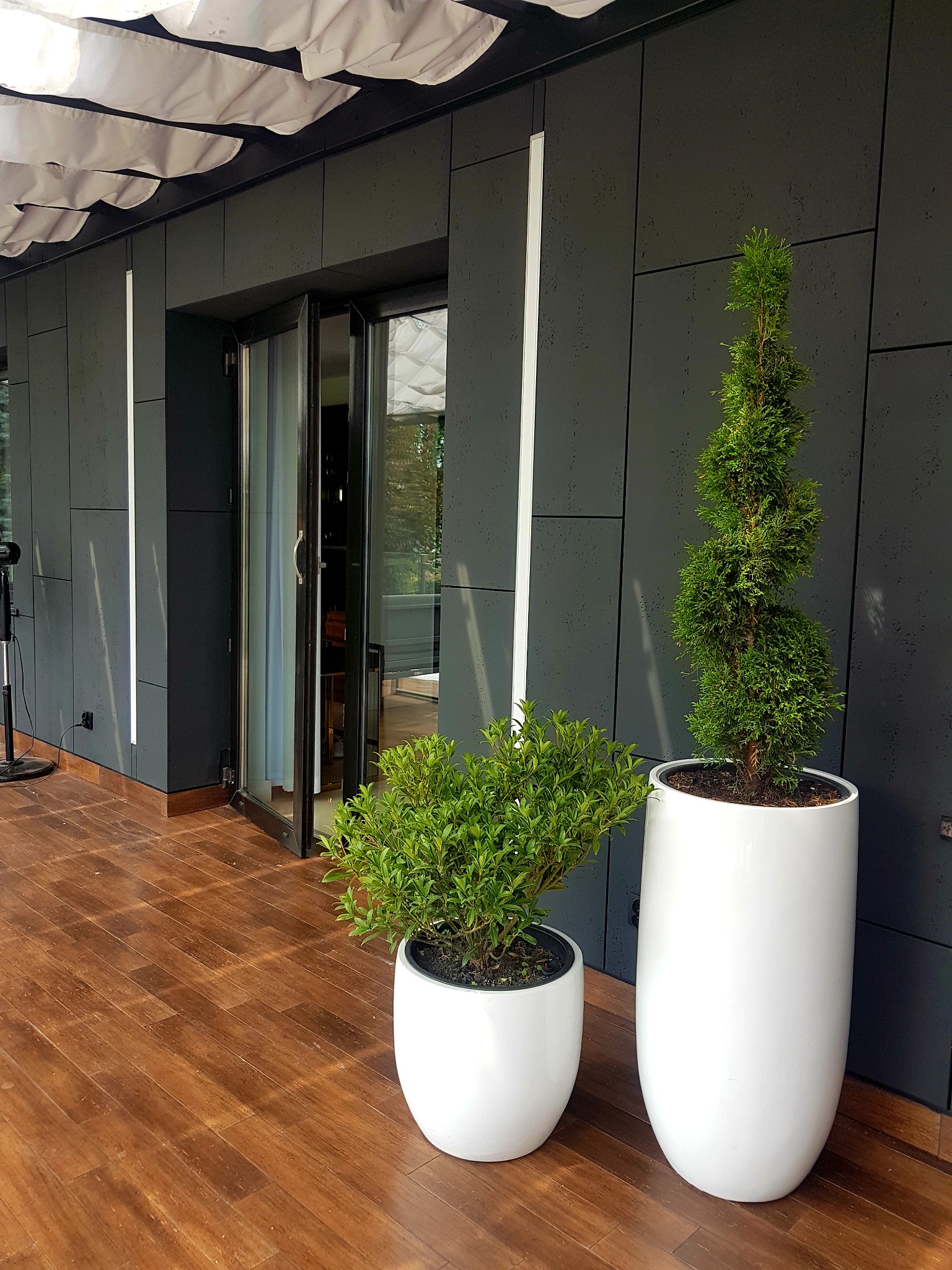 Nowoczesny taras z drewnianą podłogą, ciemnoszarą elewacją z podłużnymi panelami, białymi donicami z roślinami i przeszklonymi drzwiami balkonowymi.