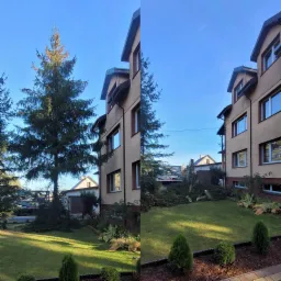 Duże drzewo iglaste częściowo powalone na trawniku przed budynkiem mieszkalnym, z widocznym podnośnikiem koszowym w tle, sugerującym prace porządkowe po wycince lub usunięciu uszkodzonego drzewa.