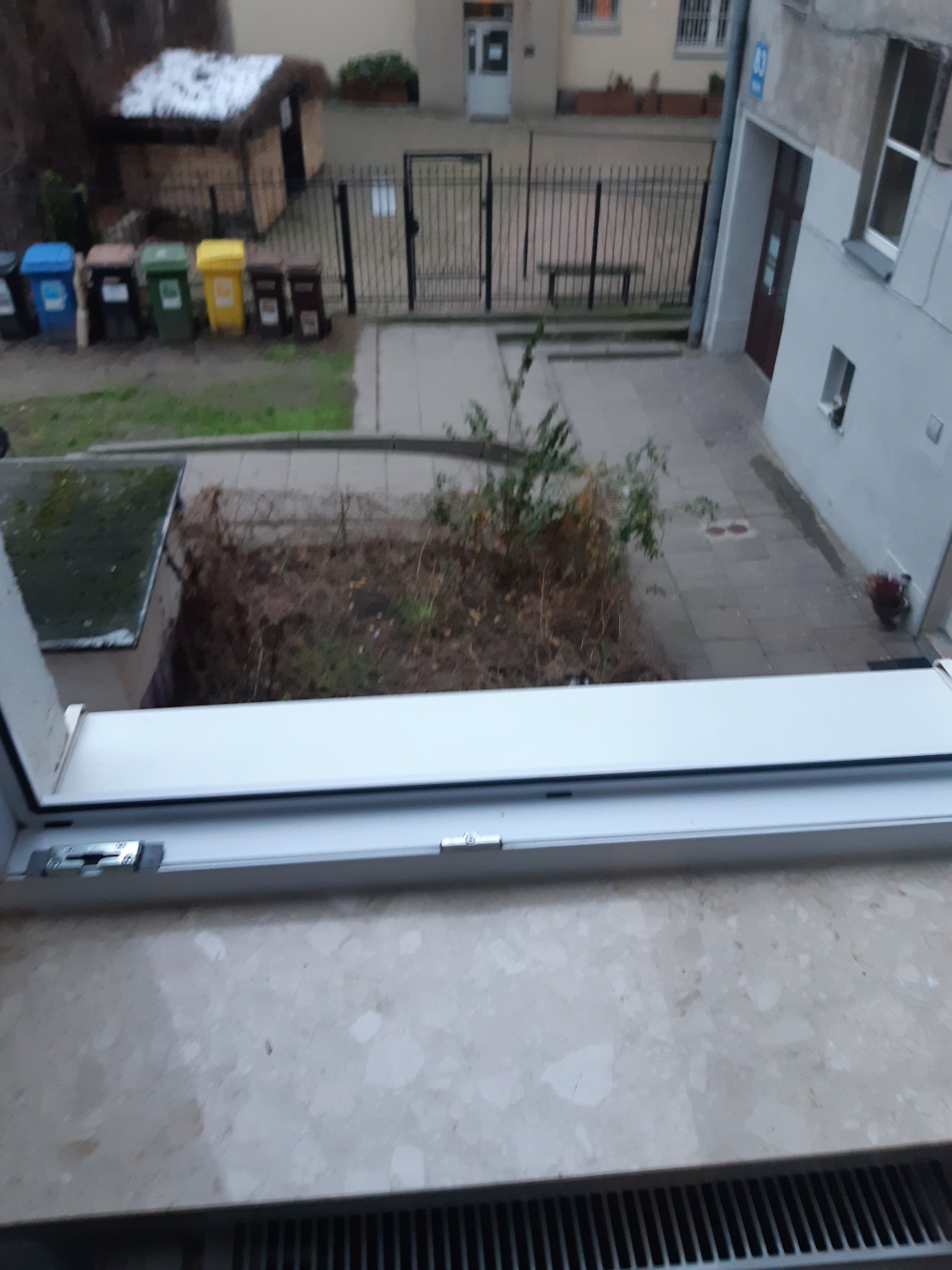 Widok z okna na podwórko z pojemnikami na śmieci i fragmentem budynku, okno uchylone.