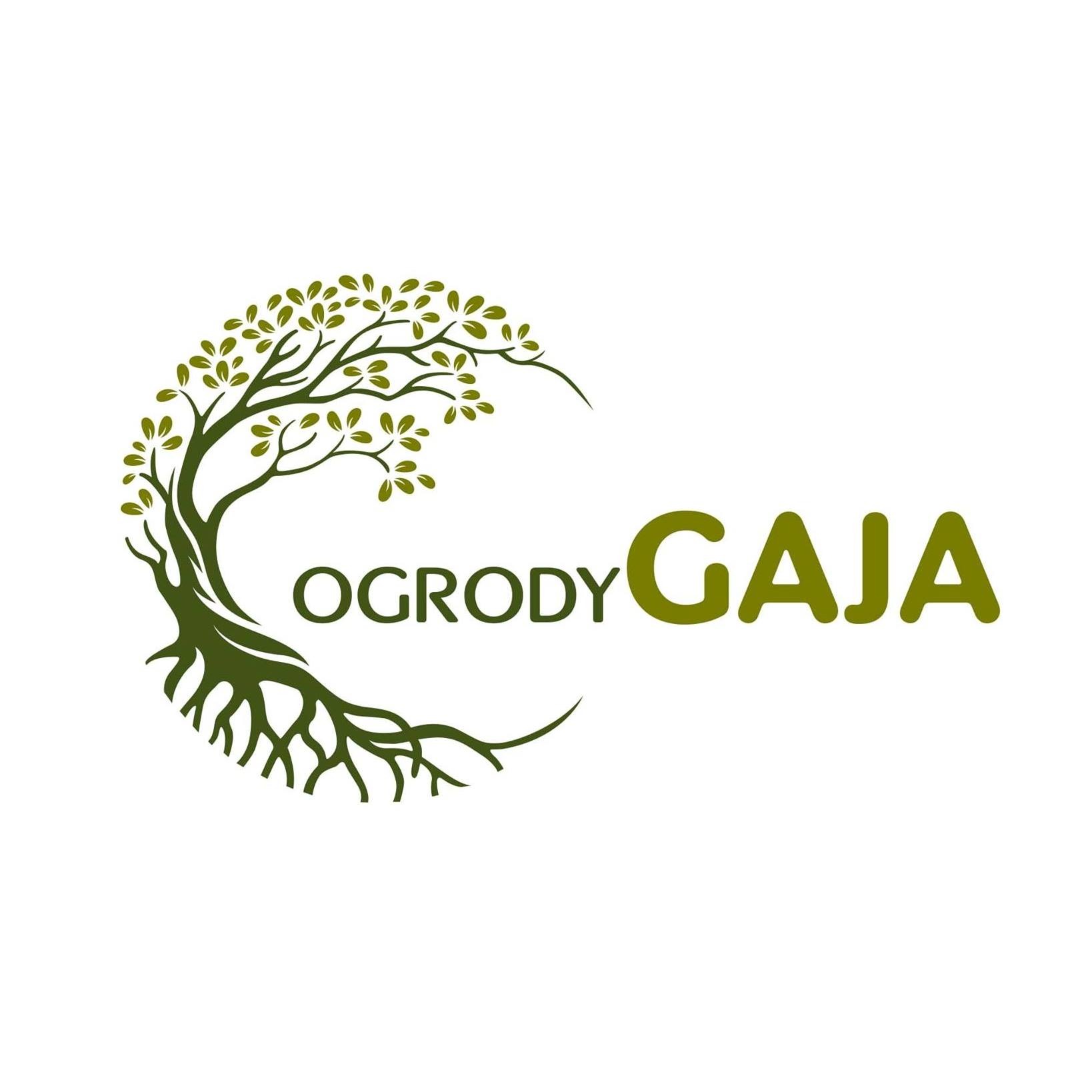 Logo firmy ogrodniczej Ogrody Gaja z motywem drzewa z korzeniami i liśćmi w kolorze oliwkowym na białym tle.