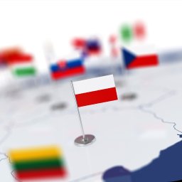 GOSE Małgorzata Bierdzio - Mała flaga Polski wbita w mapę Europy na tle rozmytych flag innych państw.