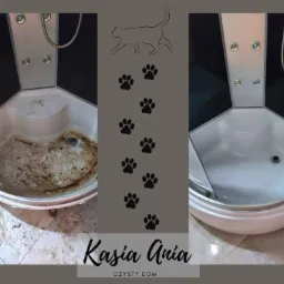 Por&oacute;wnanie kabiny prysznicowej: widok przed i po czyszczeniu, z silnym zabrudzeniem usuniętym z brodzika. Grafika z logo firmy sprzątającej i motywem kota.