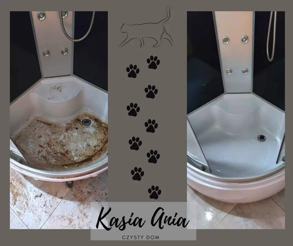 Porównanie kabiny prysznicowej: widok przed i po czyszczeniu, z silnym zabrudzeniem usuniętym z brodzika. Grafika z logo firmy sprzątającej i motywem kota.