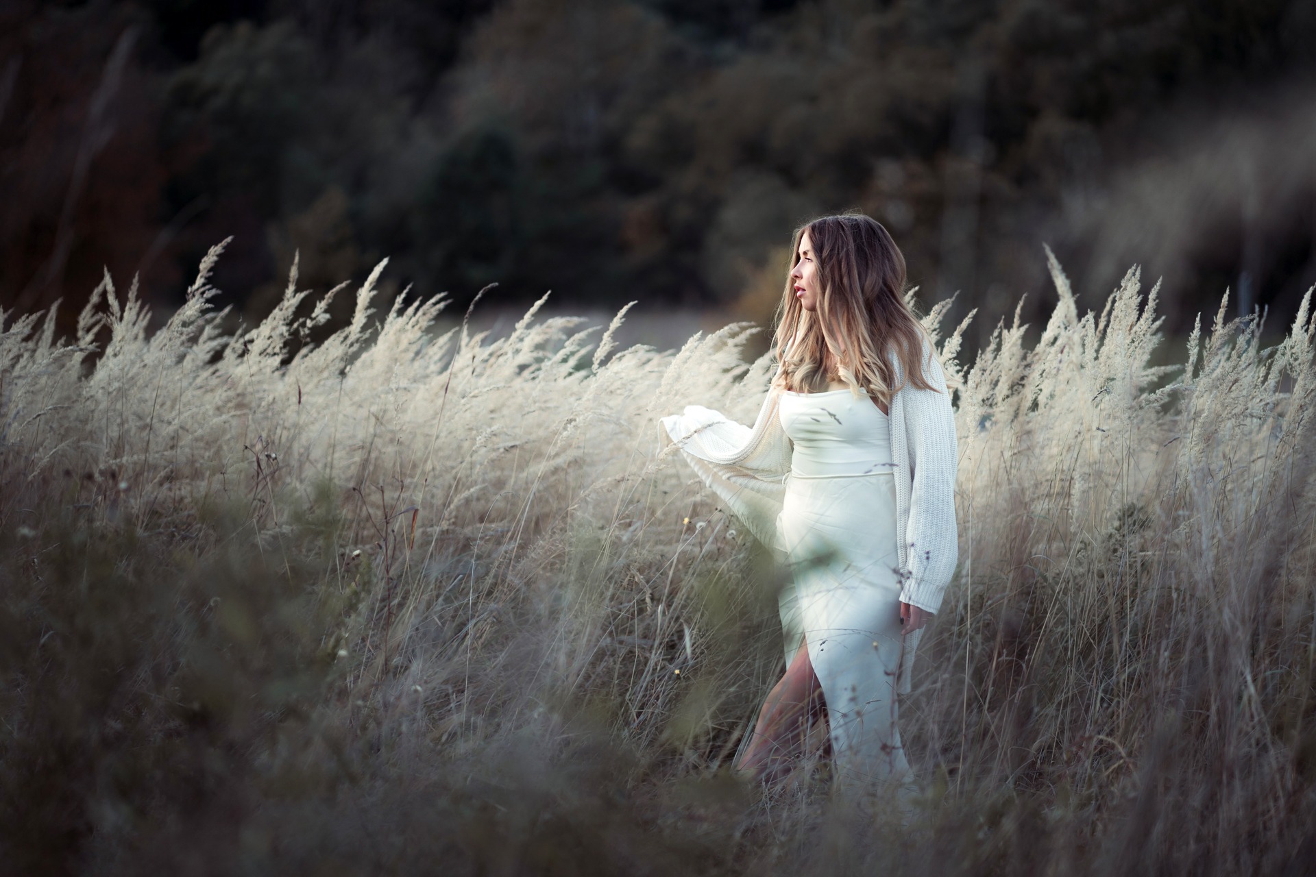 Kobieta w białej sukience i swetrze, stojąca na łące wysokich traw, z profilu, z delikatnym oświetleniem i ciemnym tłem drzew.