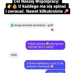 CONNZEE | Marketing w branży auto detailing - Zrzut ekranu czatu przedstawiający obietnicę zwrotu z inwestycji i szybki zysk po 3 dniach współpracy, z emotikonami i informacją o sprzedaży.