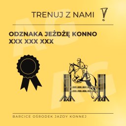 Anna Głaczyńska Pet Lovers - Grafika z napisem 'Trenuj z nami', odznaką i ilustracją jeźdźca na koniu skaczącego przez przeszkodę, w stylu minimalistycznym na żółtym tle.