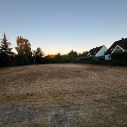 Firma Handlowo-Usługowa Dominik Smarzoch - Wykarczowany teren pod przyszły trawnik, widoczne pozostałości po trawie, w tle zabudowa jednorodzinna i drzewa oświetlone wieczornym słońcem.