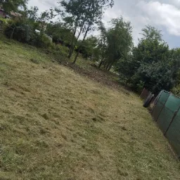 Świeżo skoszona trawa na nierównym terenie z widocznymi drzewami i ogrodzeniem z siatki w tle, pochmurne niebo.