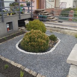 Firma Handlowo-Usługowa Dominik Smarzoch - Ogród przed domem z trzema kulistymi krzewami iglastymi otoczonymi jasnymi kamieniami, wysypany szarym żwirem, z widocznymi elementami domu w tle.