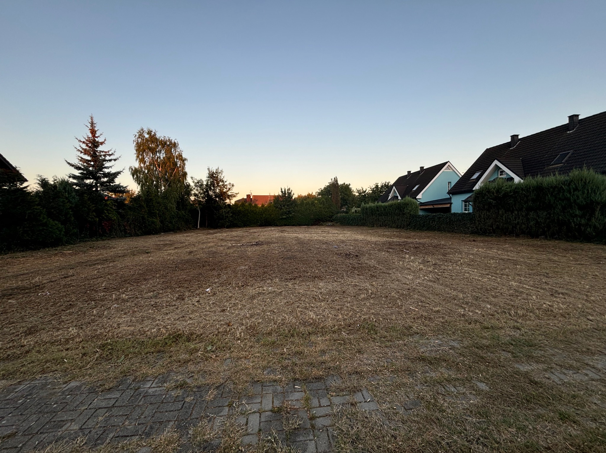 Wykarczowany teren pod przyszły trawnik, widoczne pozostałości po trawie, w tle zabudowa jednorodzinna i drzewa oświetlone wieczornym słońcem.