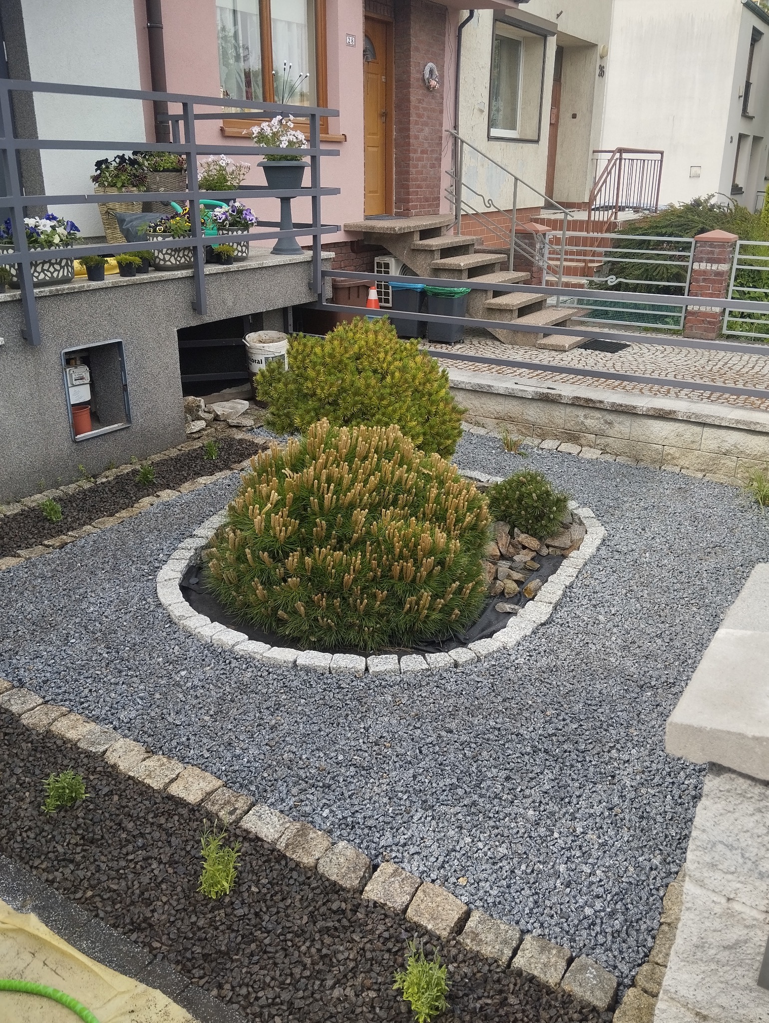 Ogród przed domem z trzema kulistymi krzewami iglastymi otoczonymi jasnymi kamieniami, wysypany szarym żwirem, z widocznymi elementami domu w tle.