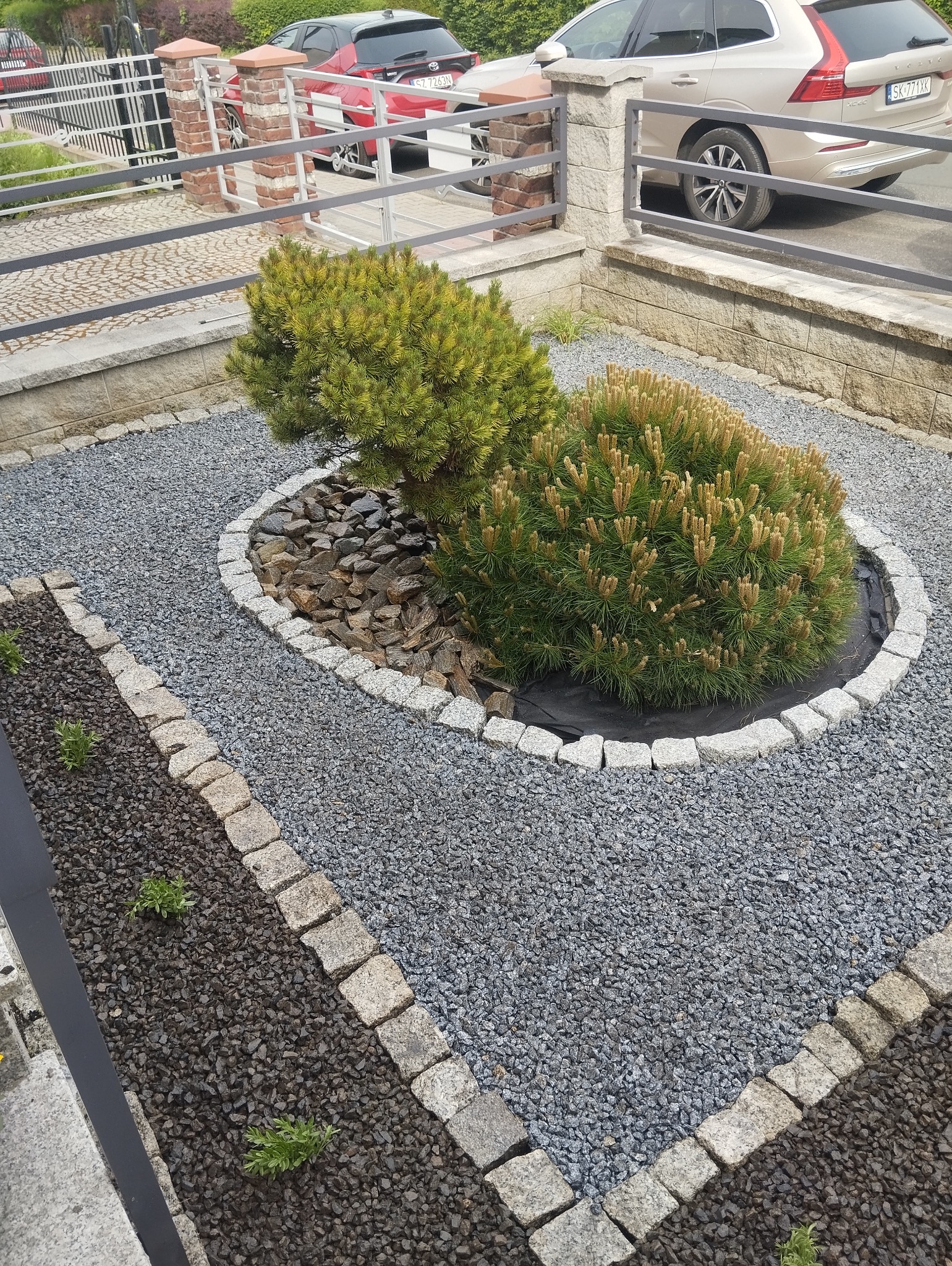 Ogródek z dwoma karłowatymi sosnami otoczonymi kamieniami, wysypany szarym żwirem, z obrzeżem z kostki granitowej, w tle zaparkowane samochody.