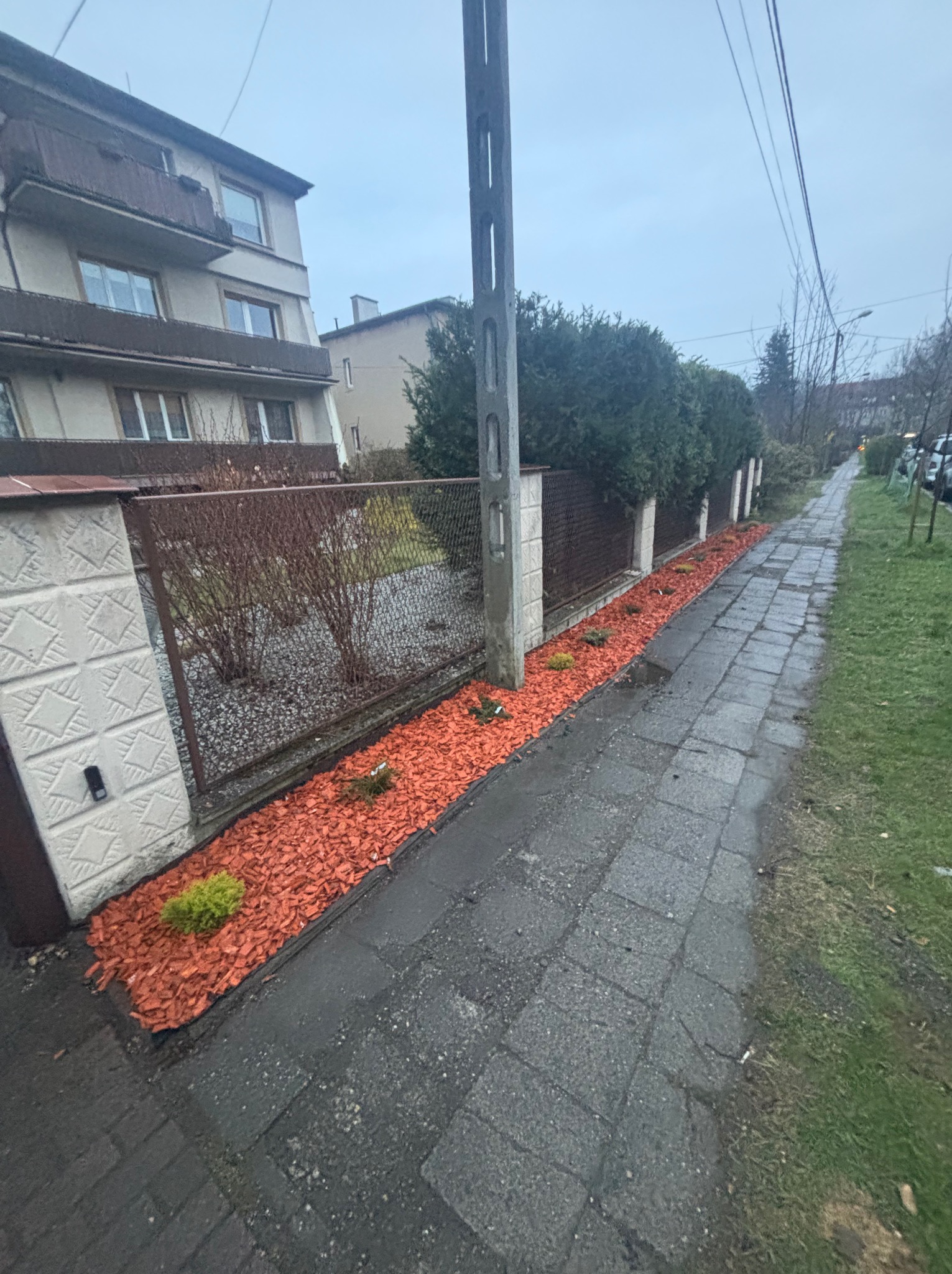 Krawężnik wzdłuż chodnika obsypany dekoracyjną, czerwoną korą drzewną i młodymi, zielonymi krzewami; w tle posesja z ogrodzeniem z siatki.