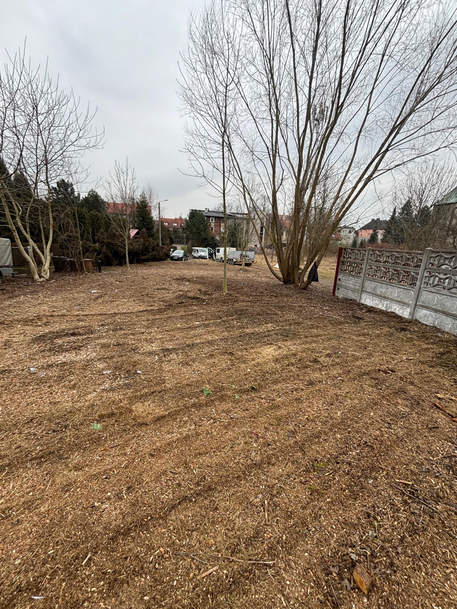 Teren po wycince drzew, pokryty zrębkami, z widocznymi pniami i kilkoma drzewami bez liści. W tle zabudowa miejska i zaparkowane samochody.