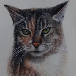 Portret kota trójkolorowego, wykonany kredkami na beżowym papierze, z wyraźnymi detalami futra i intensywnym spojrzeniem zielonych oczu.