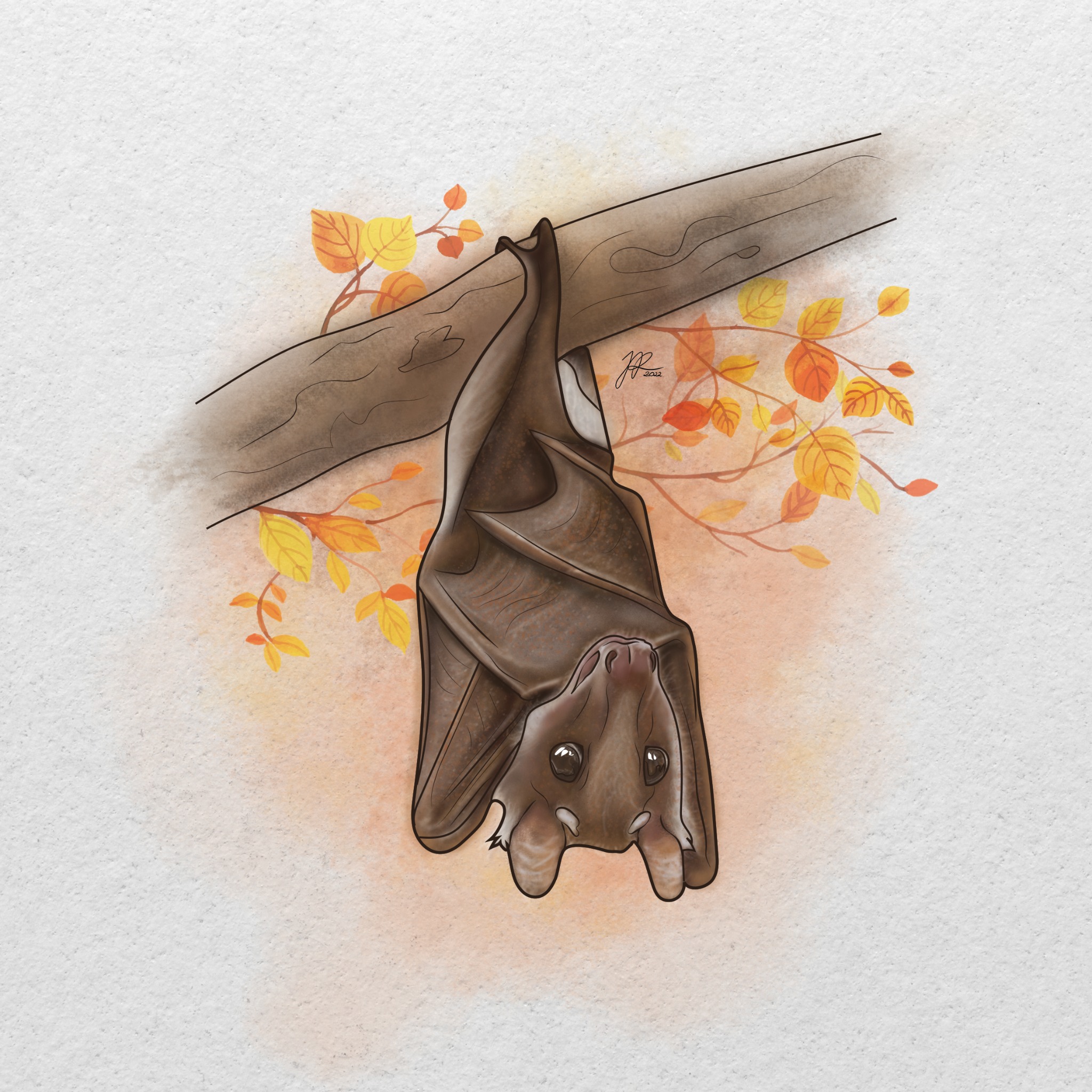 Ilustracja nietoperza zwisającego z gałęzi, otoczonego jesiennymi liśćmi, w stylu akwareli z widocznym podpisem autora w prawym górnym rogu.