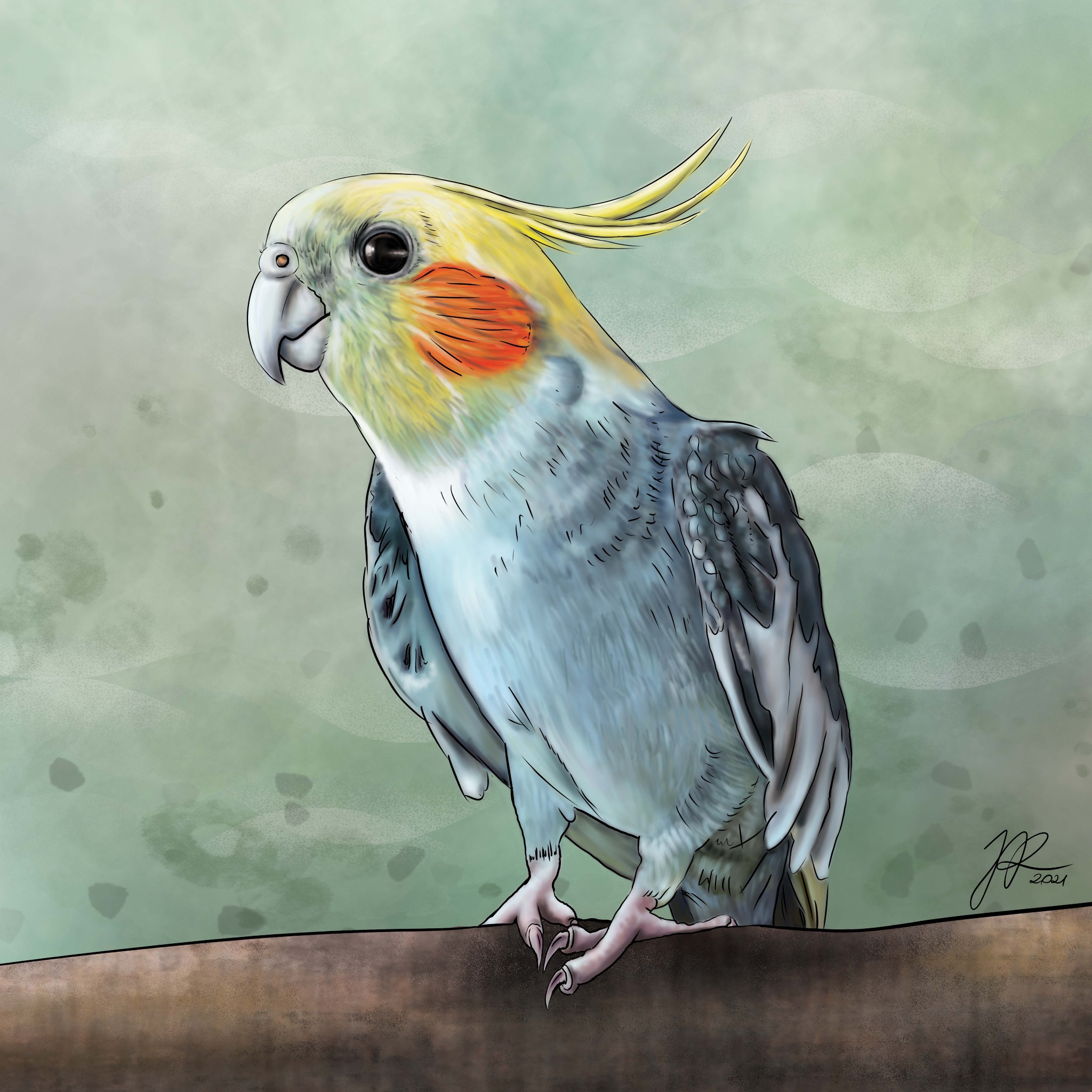 Ilustracja papugi nimfy z pomarańczowymi policzkami i żółtymi piórami na głowie, siedzącej na brązowej gałęzi na tle zielonego, rozmytym tle.