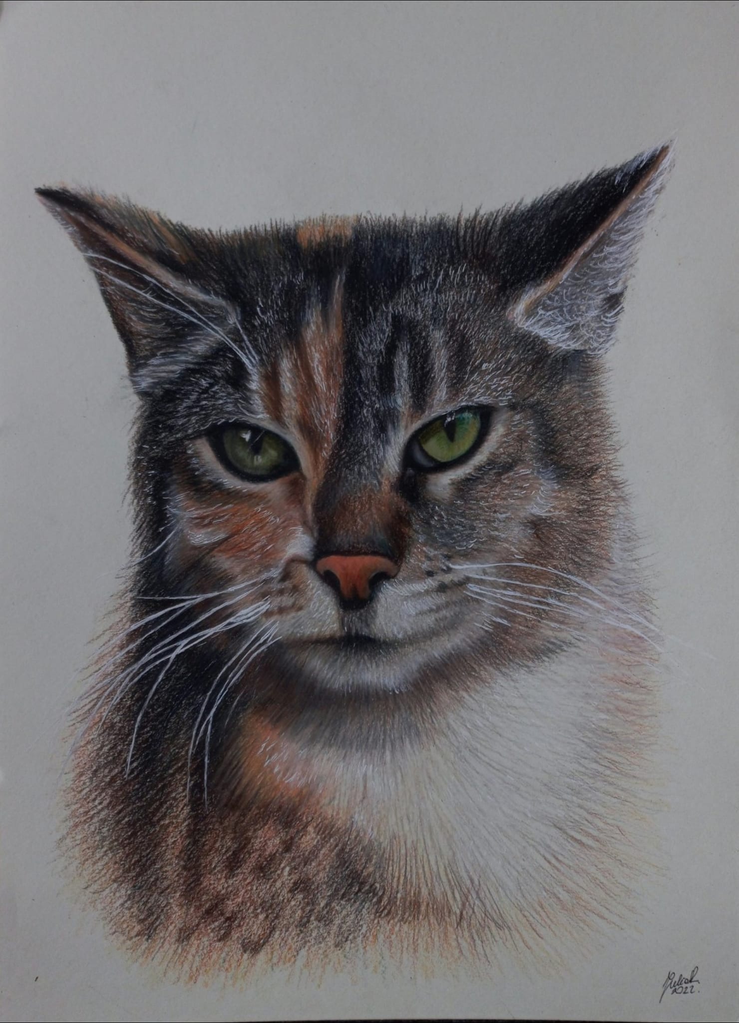 Portret kota trójkolorowego, wykonany kredkami na beżowym papierze, z wyraźnymi detalami futra i intensywnym spojrzeniem zielonych oczu.