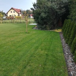Michał Wawrzyniak - Zadbany trawnik w ogrodzie we Wrocławiu, z równo przyciętą trawą, obrzeżem z kory i rzędem tuj w tle, widoczny dom z czerwonym dachem.