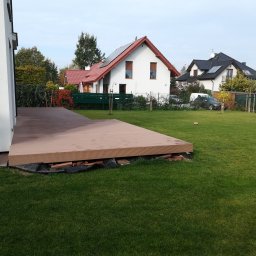 Wycinka drzew Wrocław 4