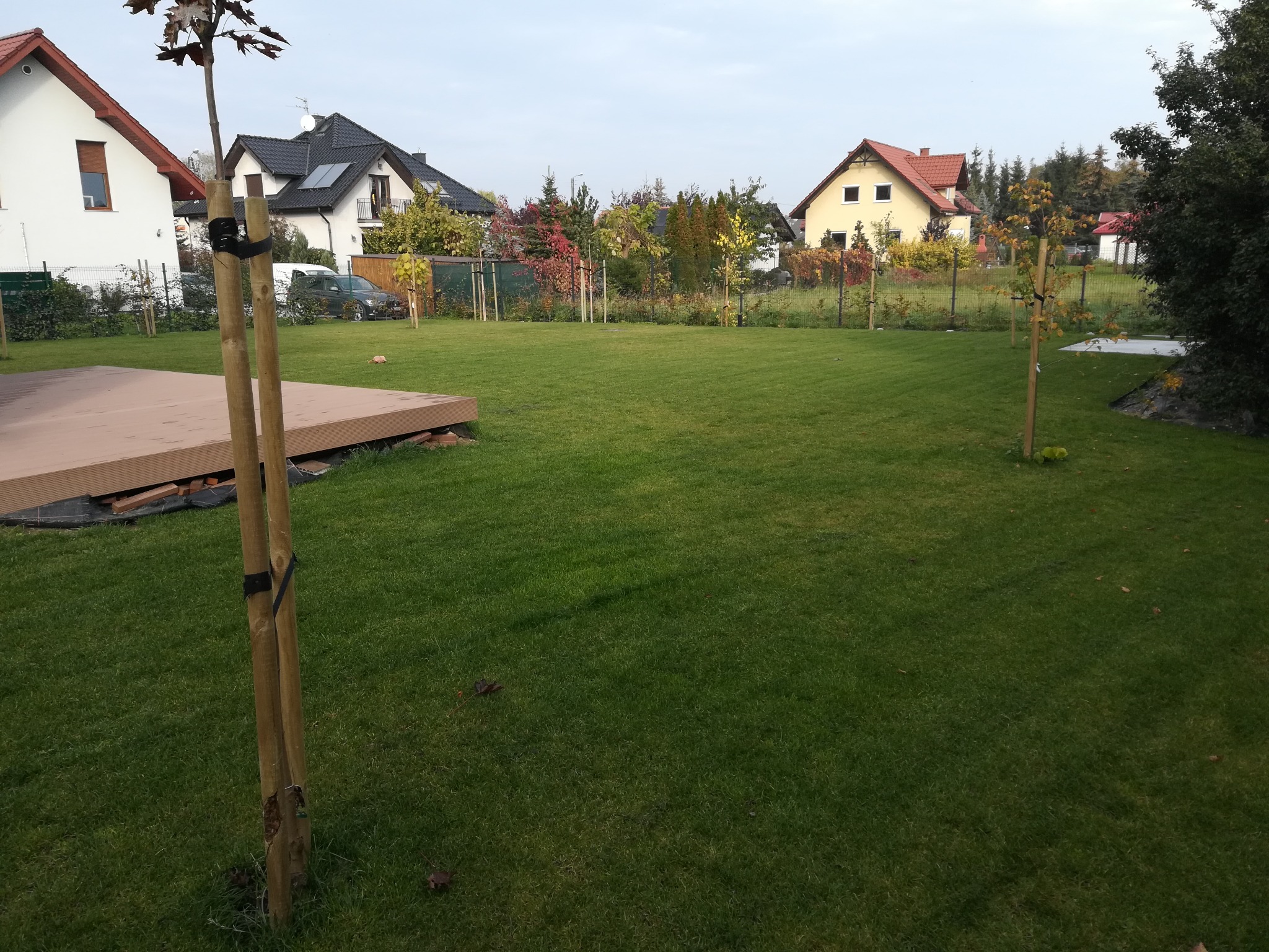 Świeżo założony trawnik z rolki, widoczne młode drzewka zabezpieczone drewnianymi palikami i taśmą, w tle zabudowa jednorodzinna.