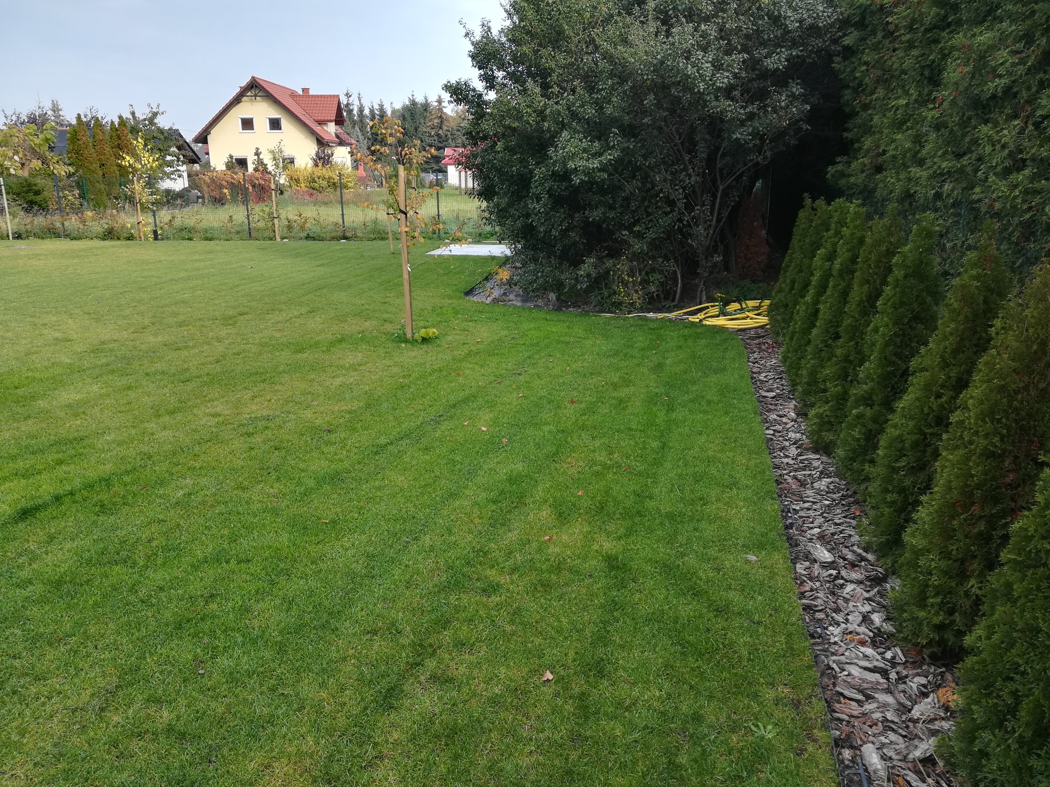 Zadbany trawnik w ogrodzie we Wrocławiu, z równo przyciętą trawą, obrzeżem z kory i rzędem tuj w tle, widoczny dom z czerwonym dachem.