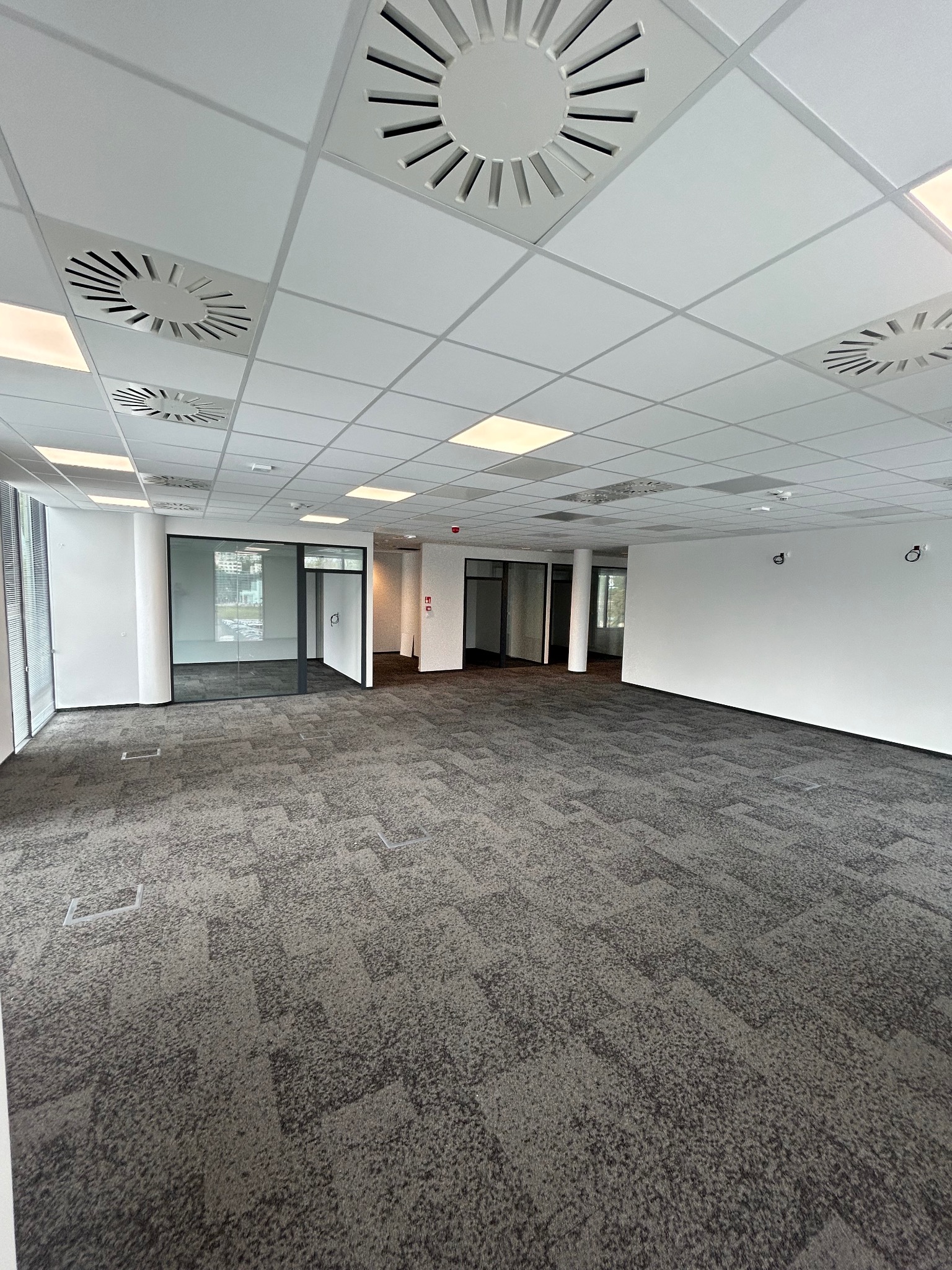 Biuro w Gdańsku z szarą wykładziną dywanową w płytkach. Widoczne kratki wentylacyjne w suficie podwieszanym i szklane ścianki działowe.