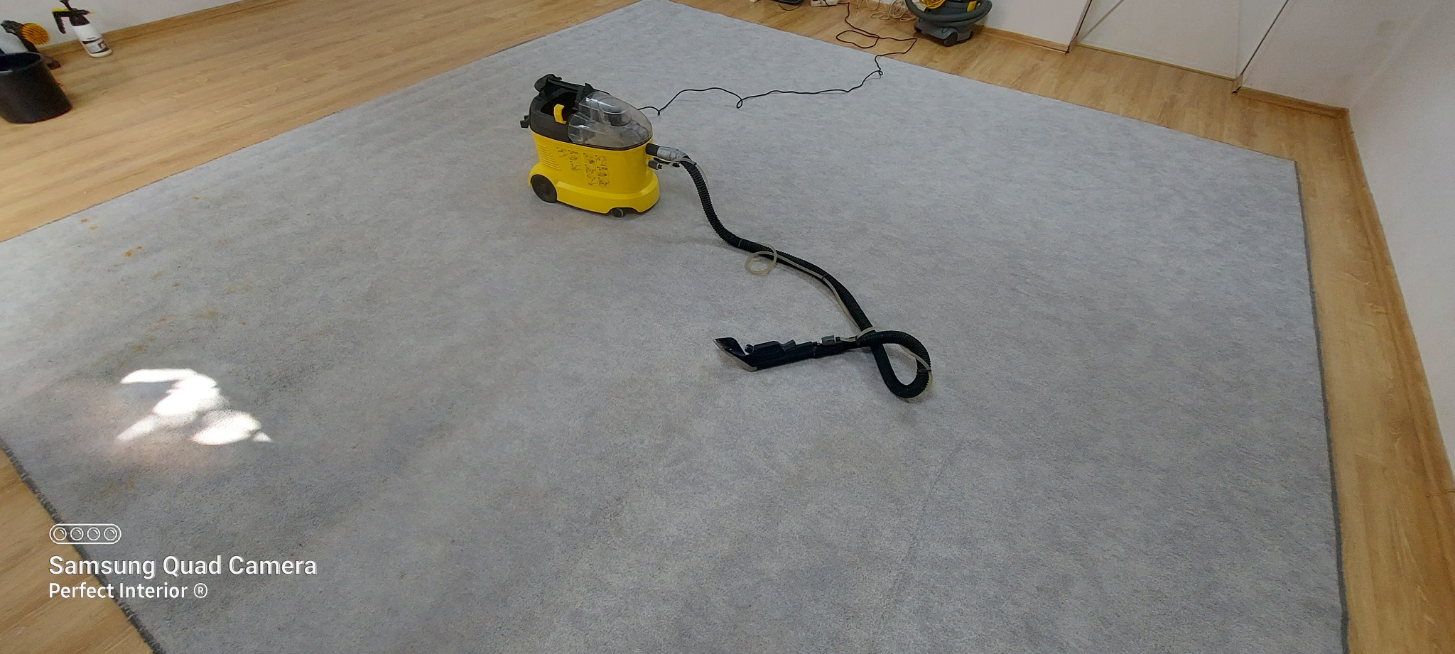 Żółty odkurzacz piorący Karcher na szarym dywanie podczas pracy, widoczna końcówka czyszcząca i kabel, parkiet na obrzeżach dywanu.