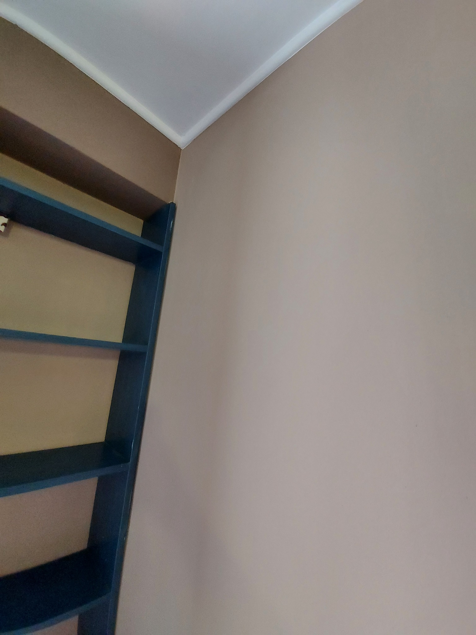 Narożne ujęcie wnętrza: ściana pomalowana na beżowo, biały sufit z listwą oraz fragment niebieskiego regału z półkami.