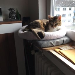 Kredyt Bignens - Ubezpieczenia OC Warszawa