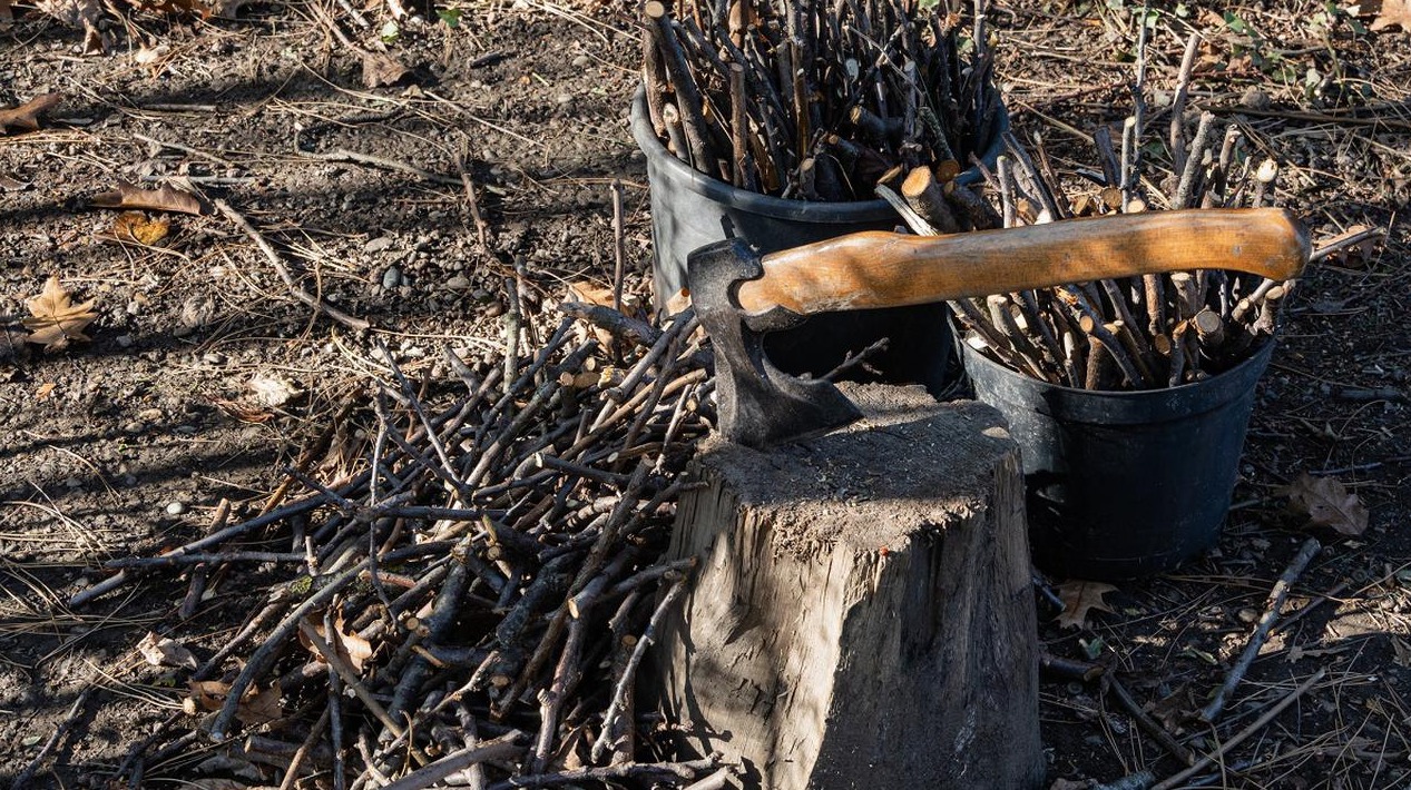 Topór wbity w pień obok dwóch czarnych wiader wypełnionych przyciętymi gałęziami, porozrzucane gałązki na ziemi.