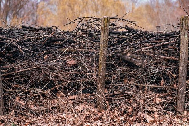 Naturalna bariera ogrodowa wykonana z gałęzi i drewnianych słupków na tle jesiennego krajobrazu.