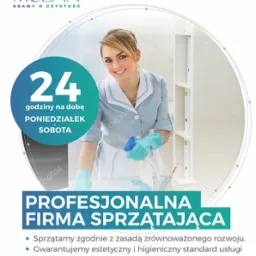 Grafika reklamowa firmy sprzątającej: uśmiechnięta kobieta w uniformie, spryskująca powierzchnię płynem, logo firmy McLEAN, hasło 'Profesjonalna firma sprzątająca', informacja o dostępności 24h...