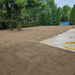 DREWEX S.C. - Przygotowany teren pod trawnik z rolki, widoczne drzewa, tuje i fragment nawierzchni z kostki brukowej oraz zwinięty wąż ogrodowy