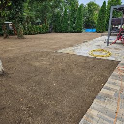 DREWEX S.C. - Przygotowany teren pod trawnik, świeżo rozsypana ziemia, widoczne obrzeże z kostki brukowej, w tle tuje i elementy architektury ogrodowej.